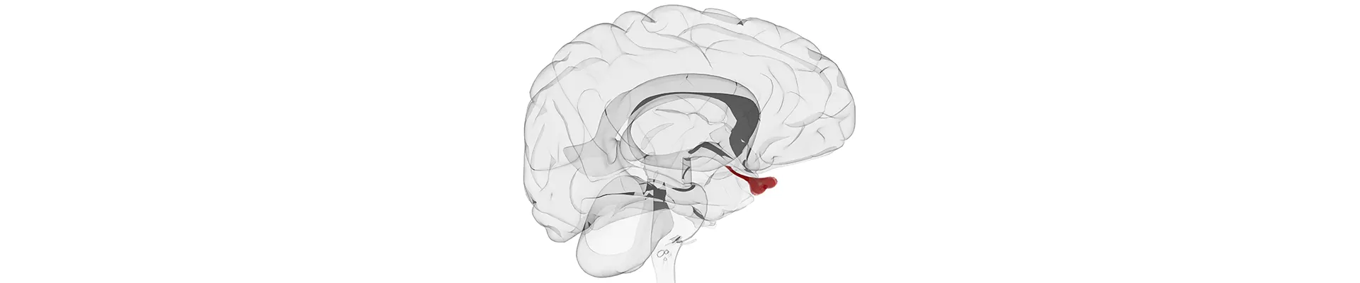 Κενό Τουρκικό Εφίππιο
